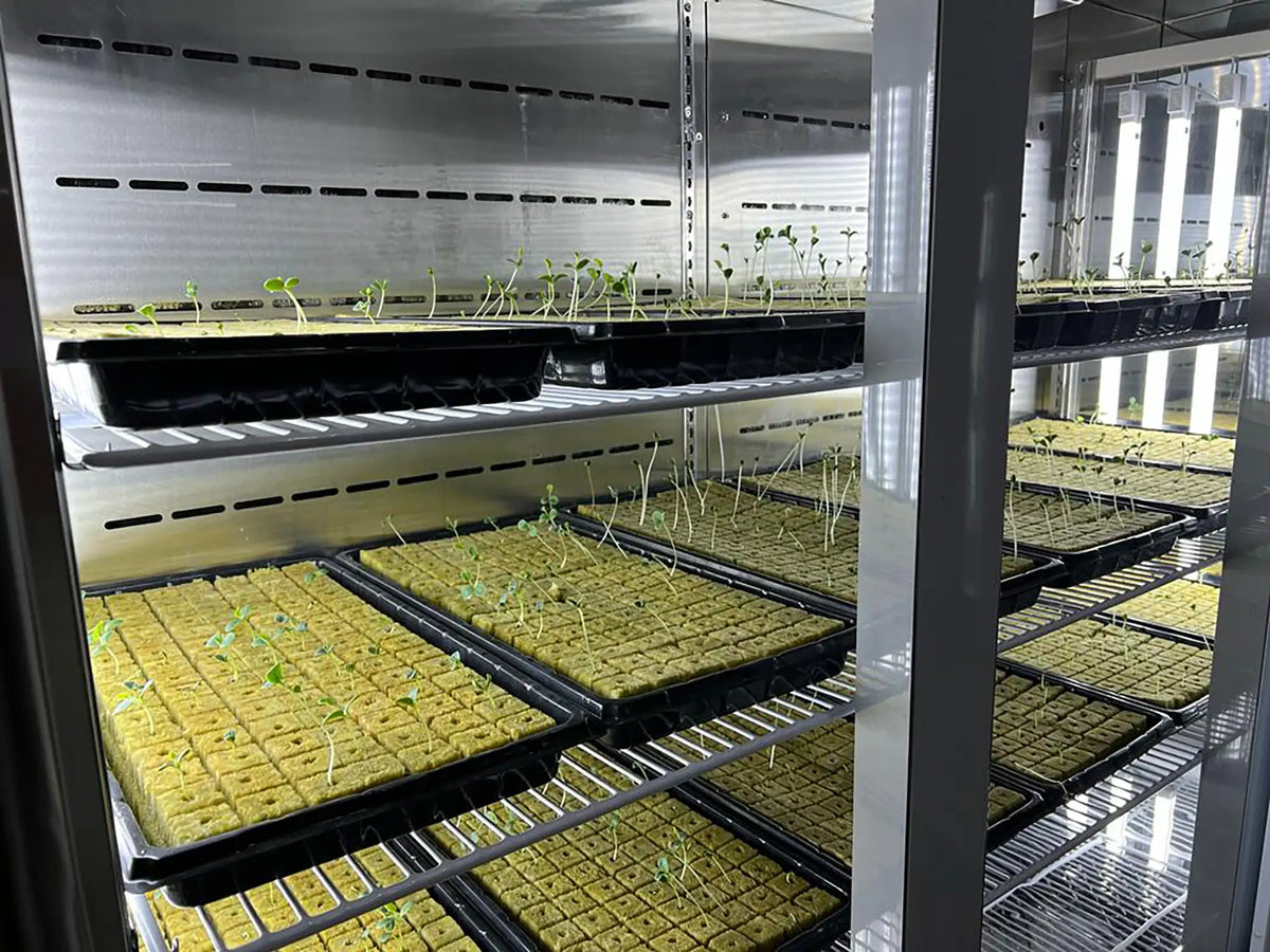 Nevia Biotech